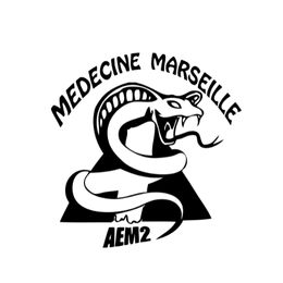 Logo AEM2